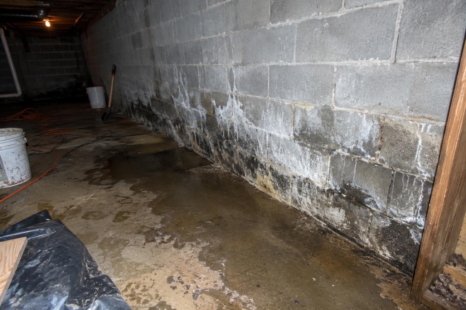 White efflorescence and damp dark staining spreading across the bottom courses of a gray concrete block basement wall in a Byron home.