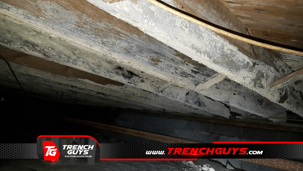 crawl space mold removal by Trench Guys